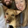 House sit pet parent - House sitting in East Nashville w/ 1 medium sized dog