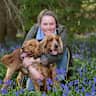House sit pet parent - Friendly cocker spaniels in the Kent countryside