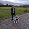 House sit pet parent - 2 beautiful beagles in a beautiful guesthouse in the town of Killarney