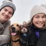 House sit pet parent - House/pet sitting opportunity with 2 great dogs in SE Calgary!