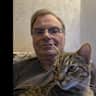 House sit pet parent - A cat friend needed.
