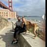 House sit pet parent - Modern apt. in Arcata, NorCali with 2 dogs