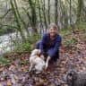 House sit pet parent - Rural Devon farmhouse with gardens and woodland, 6 miles from Totnes