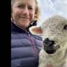 House sit pet parent - Capable, responsible animal lover required for warm family home.