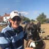 House sit pet parent - Rural retreat in Suffolk with two lovely dogs !