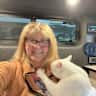 House sit pet parent - An easy sit with my deaf cat Jax in private studio in Sarande, Albania