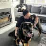 House sit pet parent - Winston & Zeta