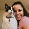 House sit pet parent - Stay in Scottsdale Apartment with the Sweetest Kitty!