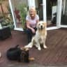 House sit pet parent - ,Bear and Shadow Bishop want you to look after us while mum & dad go on holiday