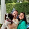 House sit pet parent - Large, modern family home in Pinner with an adorable Sprocker Spaniel!