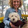 House sit pet parent - Petsitter Needed for Adorable Small Dog