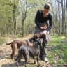 House sit pet parent - looking for pet sitter who will give my animals loads of love and attention