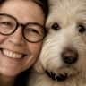 House sit pet parent - Liebevolles Zuhause für drei föhliche Hunde