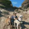 House sit pet parent - Cozy North York Home w/ 2 Loveable Dogs!