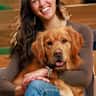 House sit pet parent - Golden Retriver ready to make new friends