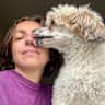 House sit pet parent - Dog cuddles and housesitting in the heart of Hackney