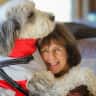 House sit pet parent - Stunnning Mountain Sanctuary ... Easy Salt Lake City Access