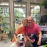 House sit pet parent - House & Pet Sit over summer vacation in family home near Dallas, Texas (Plano)