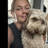 House sit pet parent - Birchcliff Bungalow - Sit our Aussie Doodle in the Toronto’s beaches/Bluffs