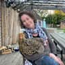 House sit pet parent - Cats and dog watching in a nice normandy home quiet remote area