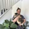 House sit pet parent - Your Poolside Staycation Awaits