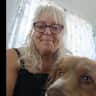 House sit pet parent - Coastal home on dead end ocean side with beach trail access, happy mini Aussie