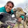 House sit pet parent - Huskies lovers needed in cosy home in large home next to great hiking trails.