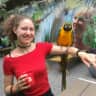 House sit pet parent - Cat-sitting in big, bright appartment surrounded by greenery close Munich centre