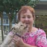 House sit pet parent - Sweet 16 lb terrier needs a sitter