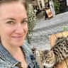 House sit pet parent - Beautiful Porto and a sweet kitty