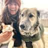 House sit pet parent - Get Away To The Country To Enjoy Peace, Quiet & Wonderful Pets!