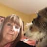 House sit pet parent - Timbers, Quoisie, You and Me …all the best!