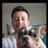 House sit pet parent - Cosy flat within the ring with a lovely frenchie companion