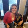 House sit pet parent - Sweet large dog in a big beautiful house in vibrant Calgary near Banff NP!