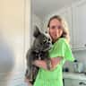 House sit pet parent - A very friendly French bulldog in Twickenham who loves attention!