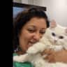 House sit pet parent - Please do venture and have a wonderful time with my Kitz!