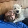 House sit pet parent - Looking for trustworthy dog sitter