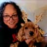 House sit pet parent - Beautiful home and garden in London with a wonderful dog and cat.
