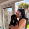 House sit pet parent - Loving Companion needed for a miniature Dash x Pug doggy.