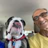 House sit pet parent - Snuggly sitter needed for adorable bulldog in beautiful San Diego.