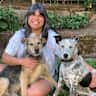 House sit pet parent - Two dogs in friendly neighborhood -great sunset views