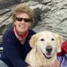 House sit pet parent - Comfortable home on the Cotswold Way.