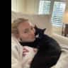 House sit pet parent - Seeking Dallas cat/house sitter for tuxedo cat!