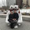 House sit pet parent - Large Baltimore row home, with a cute cat
