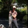 House sit pet parent - Island get-away