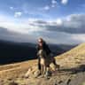 House sit pet parent - Colorado Foothills with a great senior Weimaraner