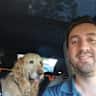 House sit pet parent - Petsitting a Golden in Barcelona city