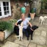 House sit pet parent - An historic Tudor house with four beautiful and much loved labradors.