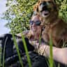 House sit pet parent - Free accommodation on the Isle of Wight with two friendly dogs