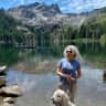 House sit pet parent - Sweet Labradoodle in a Sierra Foothills Treehouse